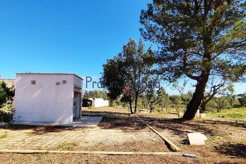 Landejendom i Carovigno, Brindisi, Carovigno - € 98.000 | Ref: 122569 - foto 5